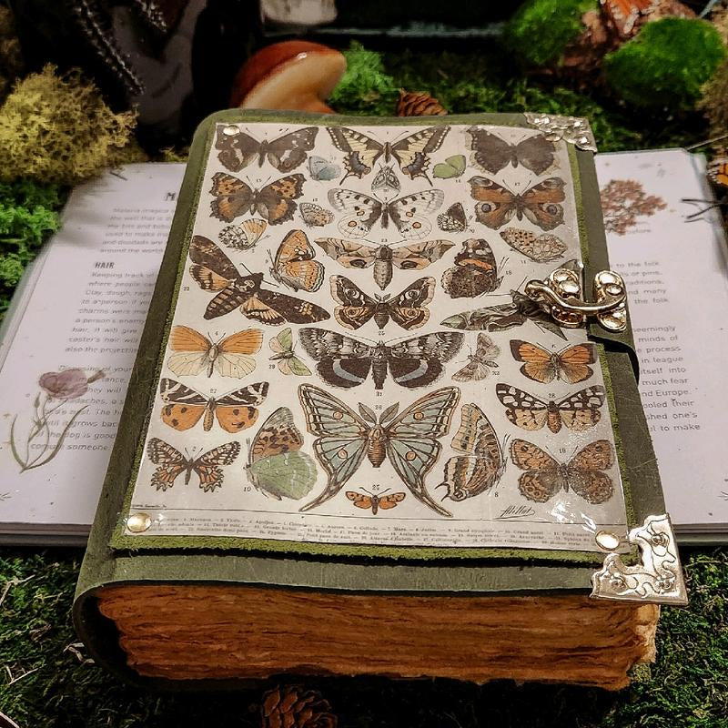 Plants Butterflies Moth Illustratration Leather Journal